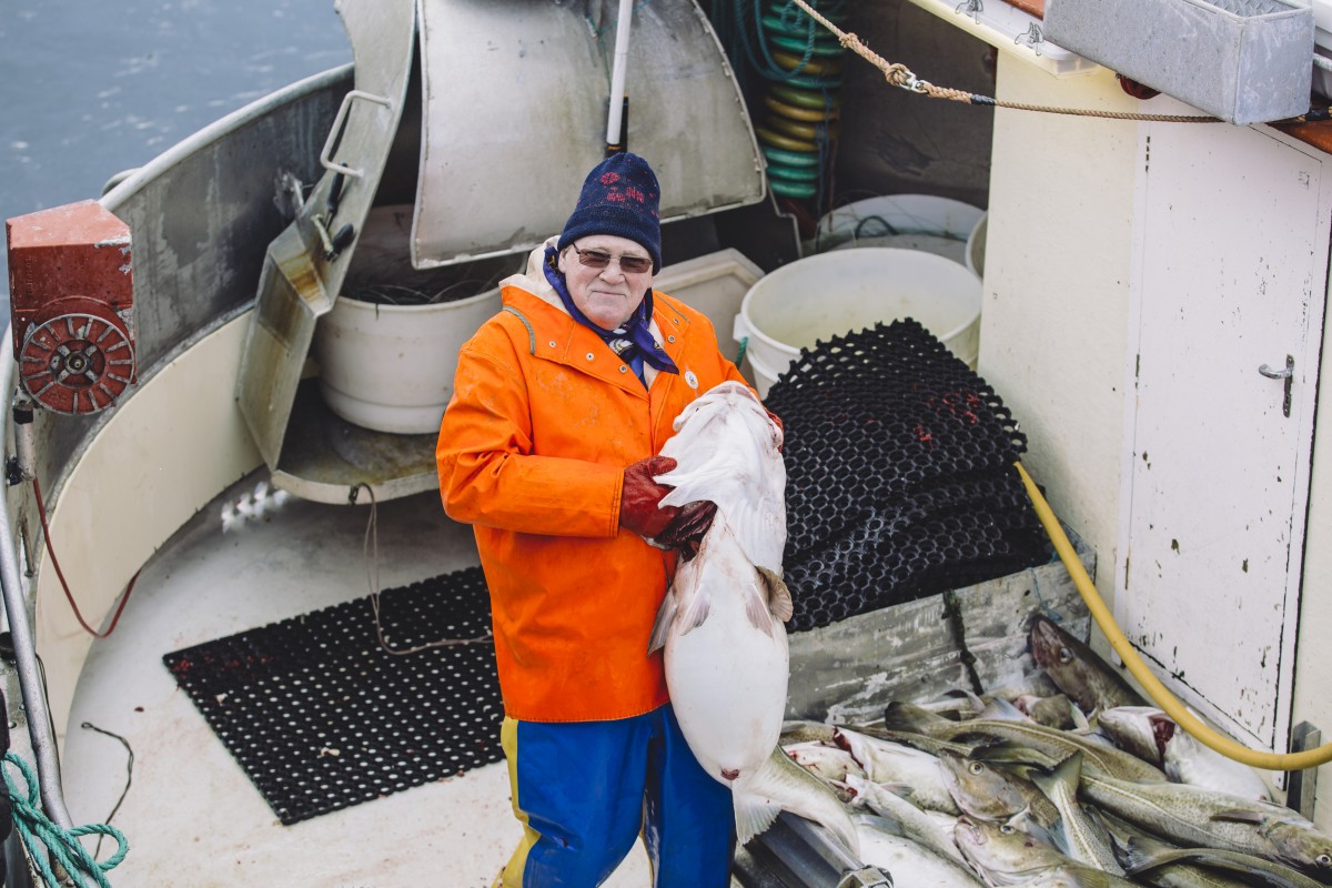 White Fish | Lofoten Viking