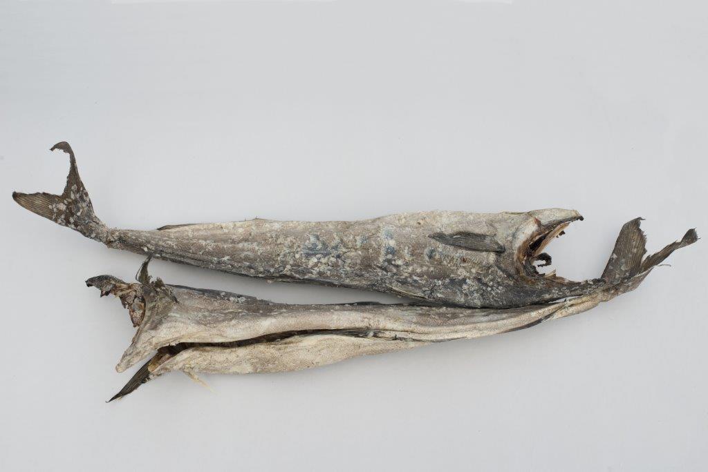Saith Fish Saithe | Lofoten Viking