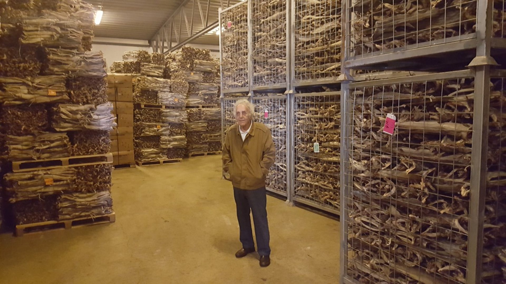 Buy Stockfish From Norway